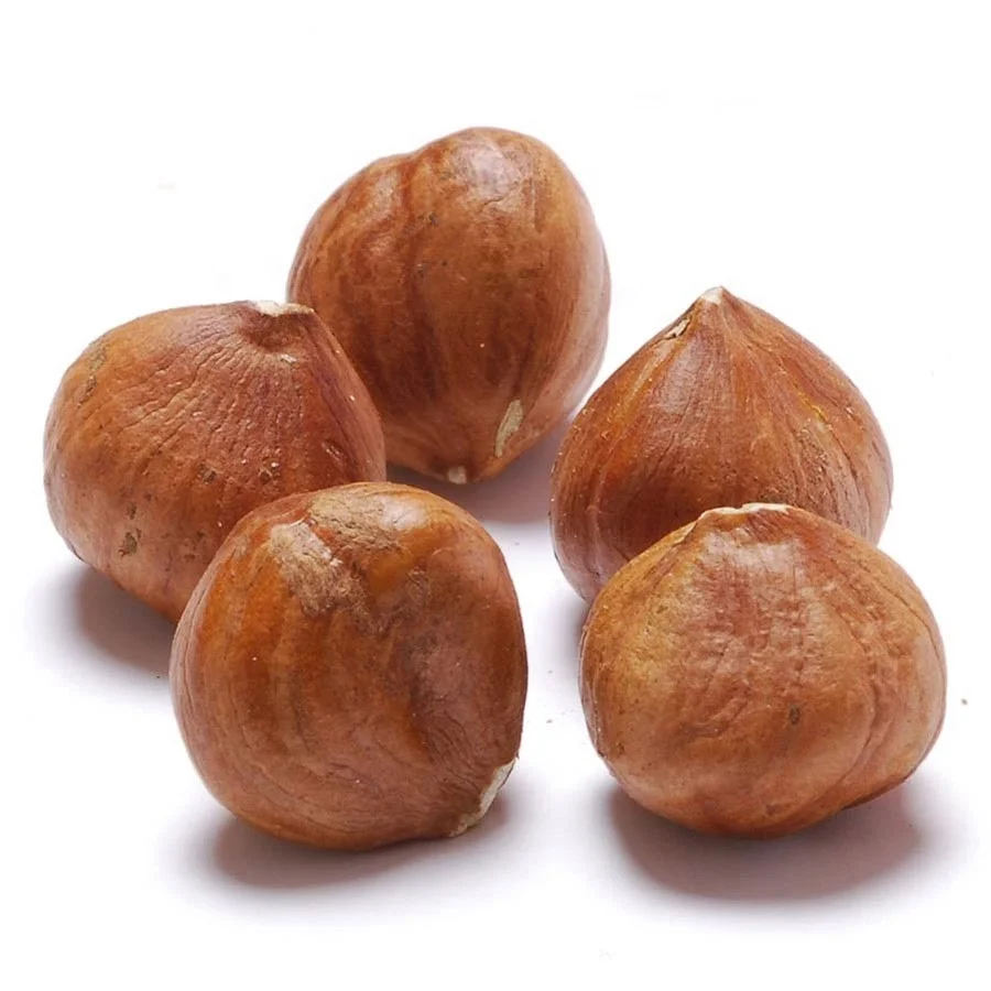 100% Natural Premium Quality Organic Raw Roasted Hazelnut Raw