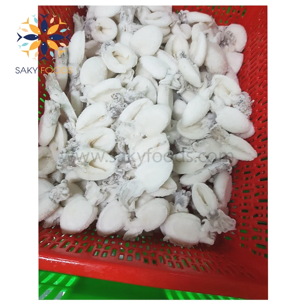 Cuttlefish Frozen Whole Cuttle Fish Fresh cuttlefish whole cleaned Viet Nam Supplier Block Bulk Style Packaging Package