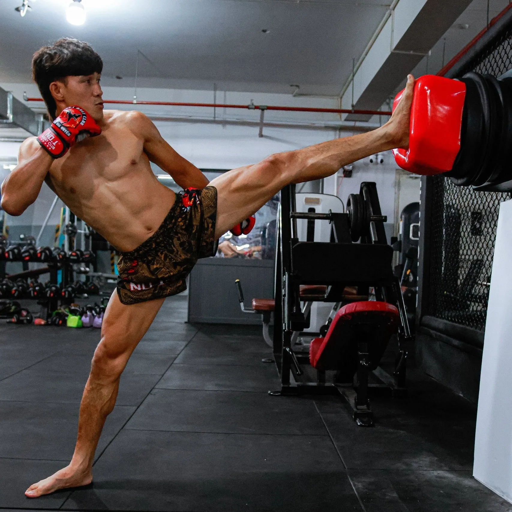 Compact and portable Champio Tri Luc Master boxing and martial arts training machine with easy installation and use