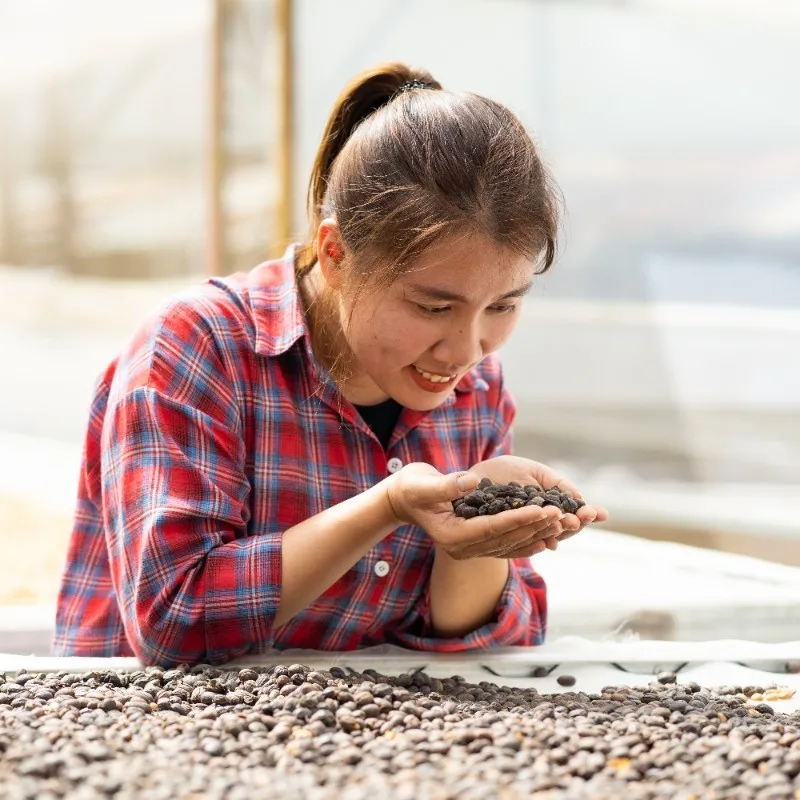 Хит продаж новый урожай зеленый зерновой кофе Robusta/Арабика цельные бобы высокое качество жареный Лучшая цена
