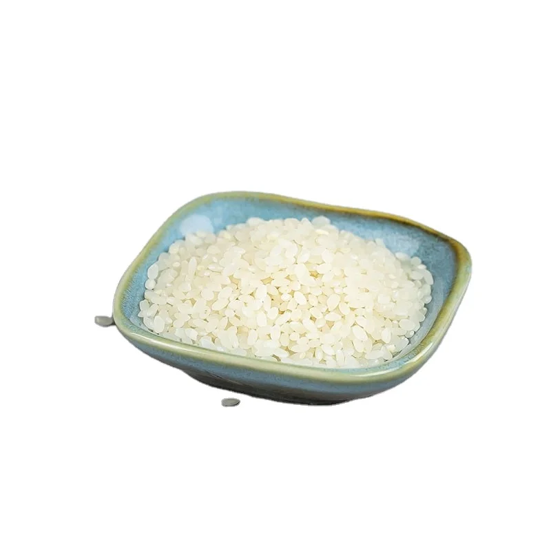 Quality Japonica Rice Soft Delicious Best Price Natural White Japonica Rice Best White round rice fresh