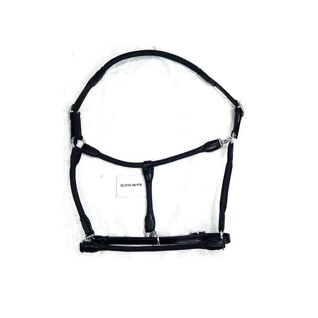 Leather Halter with name plate