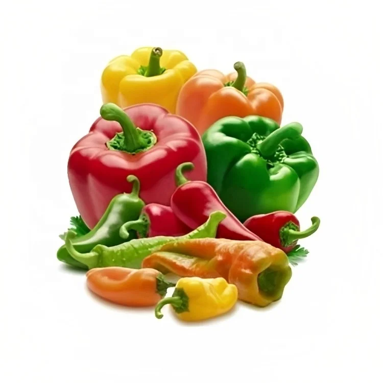 CAPSICUM OIL/CHILLI SEED OIL MANUFACTURER KANHA NATURE OILS INDIA WHOLESALE PRICE PREMIUM QUALITY BULK BUY