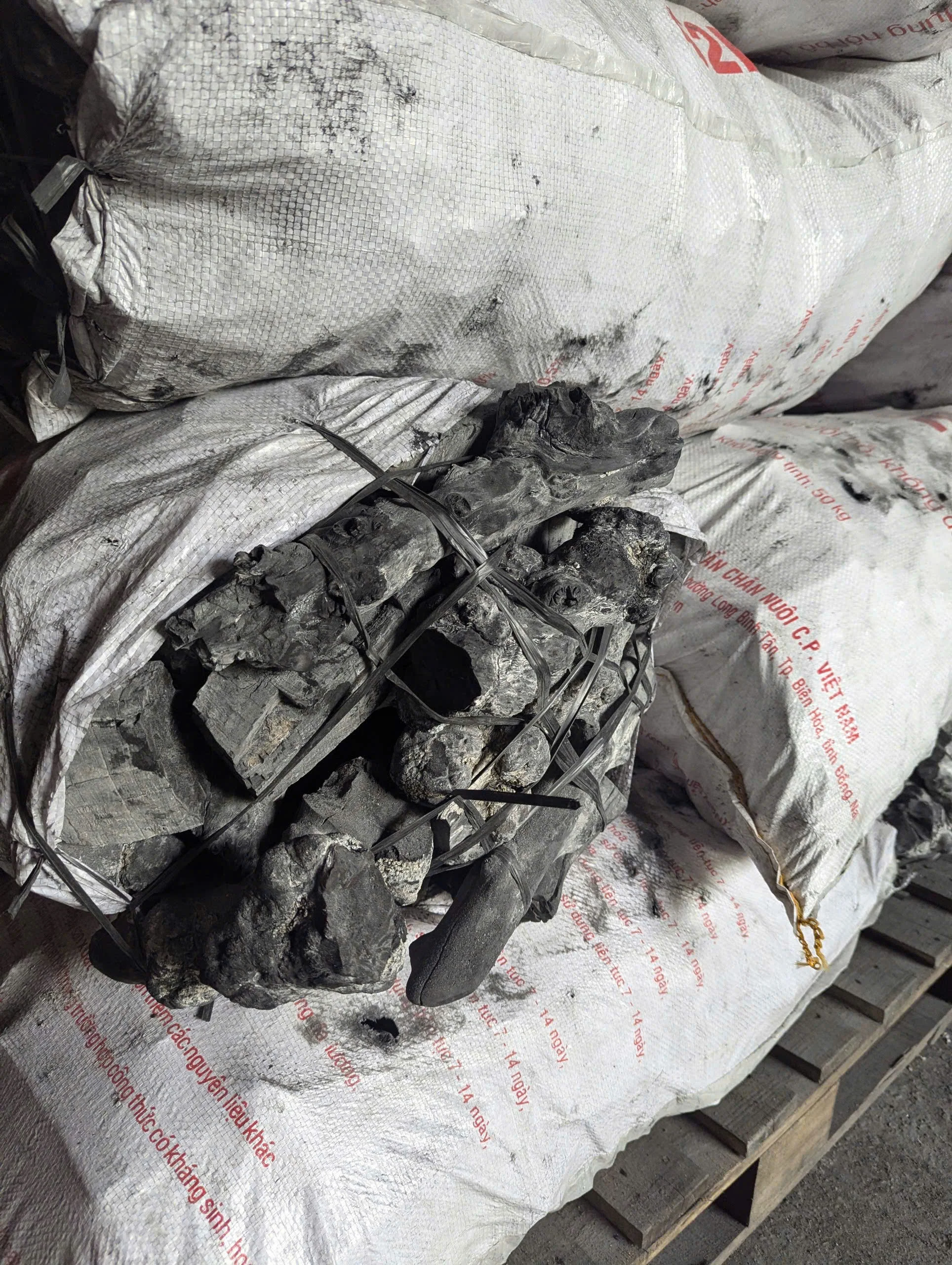 White Coffee Charcoal for Outdoor BBQ Camping & Grill Trips-Smokeless Binchotan Black Coal Activated Charcoal