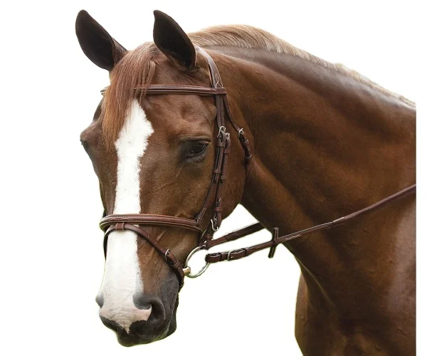 Equestrian Padded Leather Horse Snaffle Bridle with Flash Noseband Rubberized Reins Manufacturer Tack Shop Kanpur  India