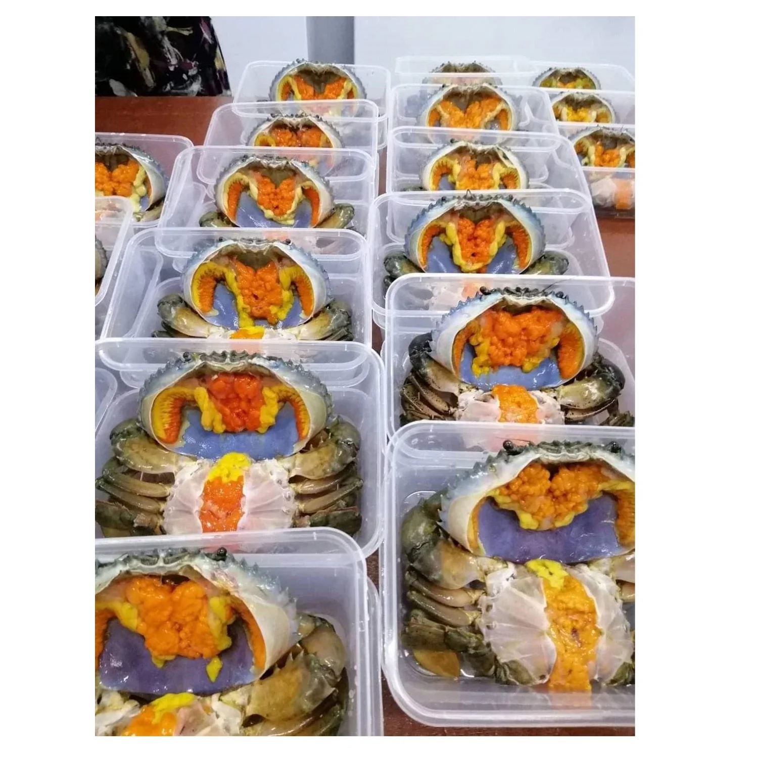 Female Mud Crab Fresh  Best Quality Master Seafood Product Size 90-300gm Origin Bangladesh Wholesale offer Price