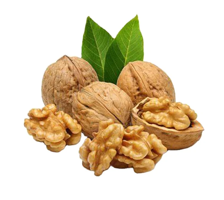 Factory Price Wholesale Traders Supply Top Quality Fresh and Natural Kernels Walnuts in Shell Dry Fruit for Wholesale Buyers