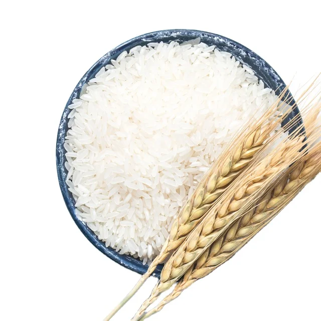 New Harvest High Quality Vietnam Japonica Rice Good Price 15% 10% 5% Broken Rice Exporter