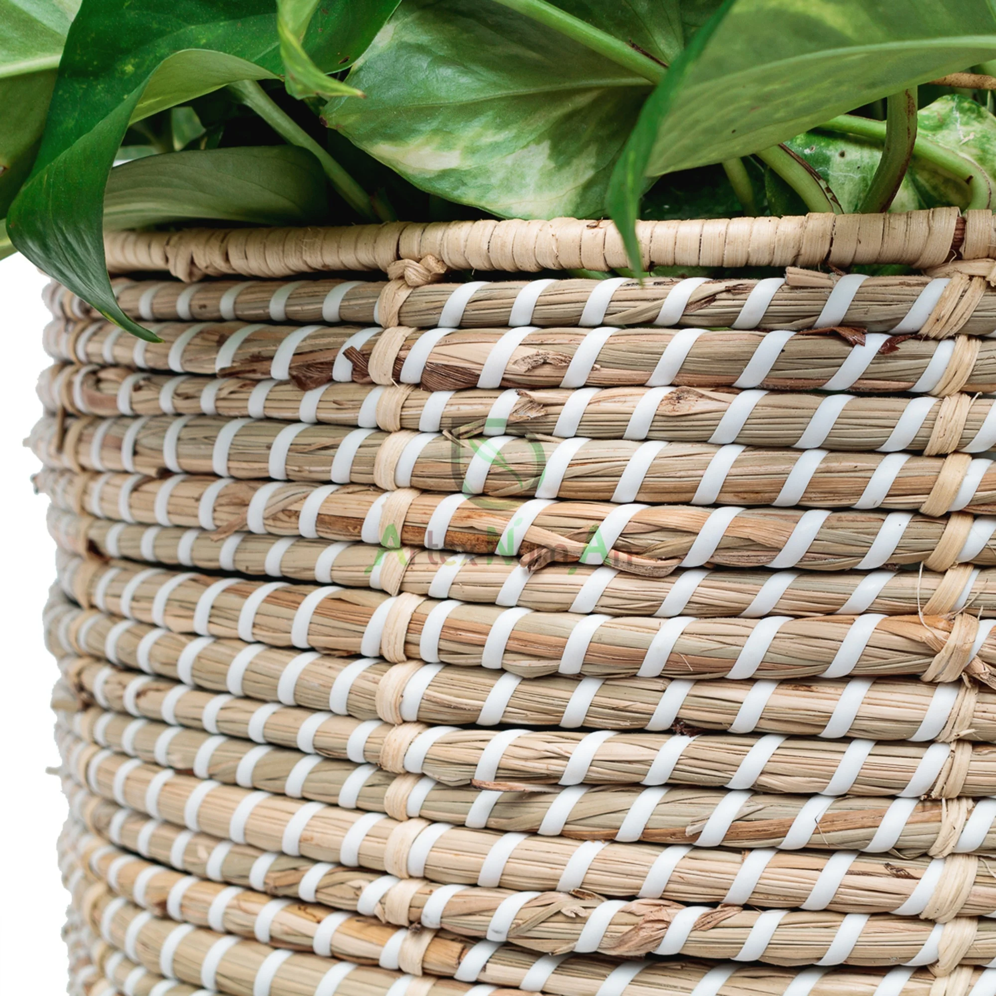 Scandinavian decor seagrass planter with wood plant holder also tall wicker flower pot stand indoor