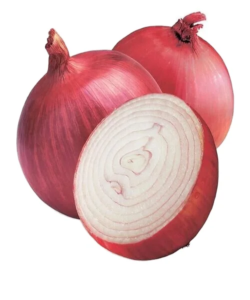 100% Natural Fresh onions from Pakistan