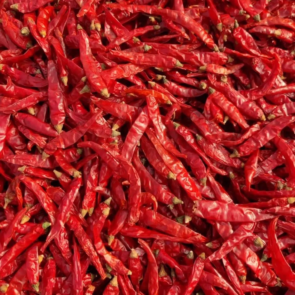 Red Chili Pepper Dried Spices & Herbs Products Good Price Vietnam  Wholesale Hot and Spicy Chili Dried Chili