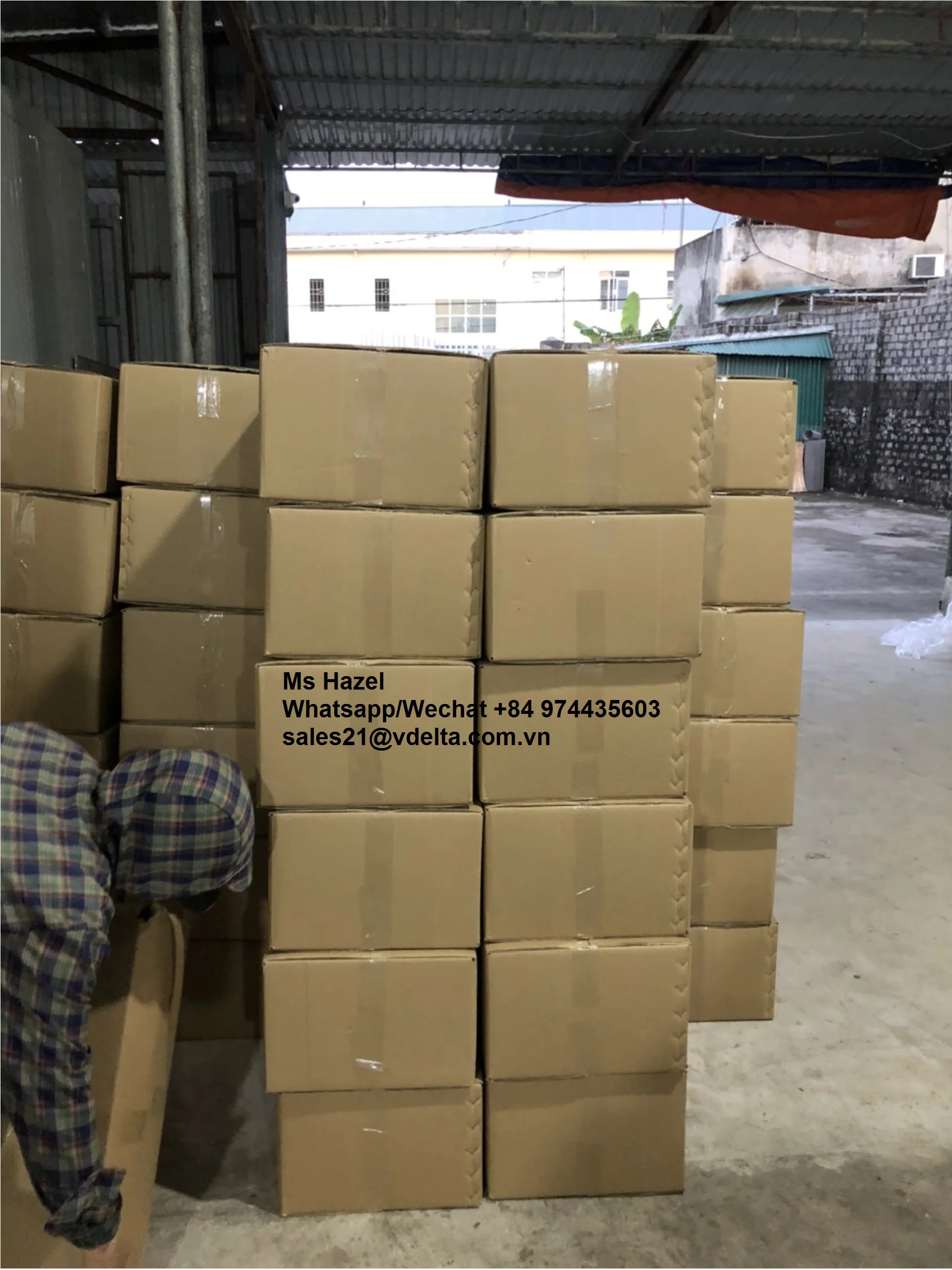 Manufacturer of Dried Baby Shrimp From Vietnam/Dried Acetes/ Mr.Leo +84 965 467 267