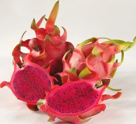 WHOLESALE RED DRAGON FRUIT FROM VIETNAM WITH HIGHT QUALITY AND BEST PRICE // Henry (+84 799 996 940)