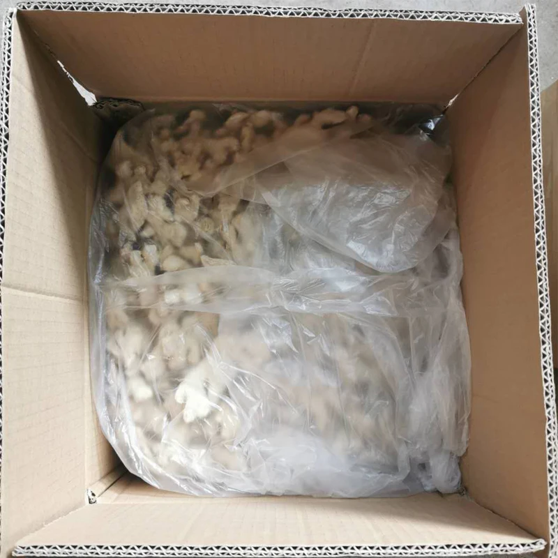 BEST EXPORT PRICE DRIED GINGER SLICED FROM VIETNAM