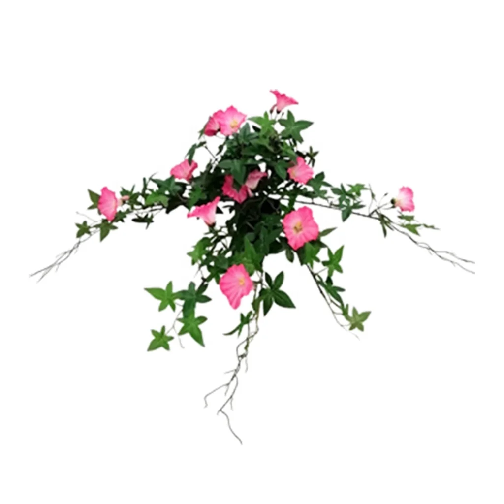 classic Silk Screen cloth white with different colors outdoor everyday medium real looking floral Morning glory in plastic vase