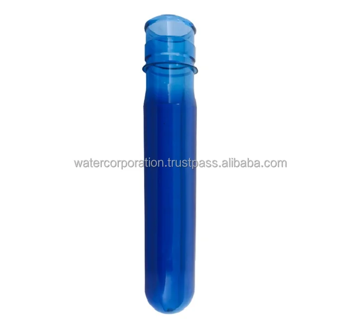 p6.jpg