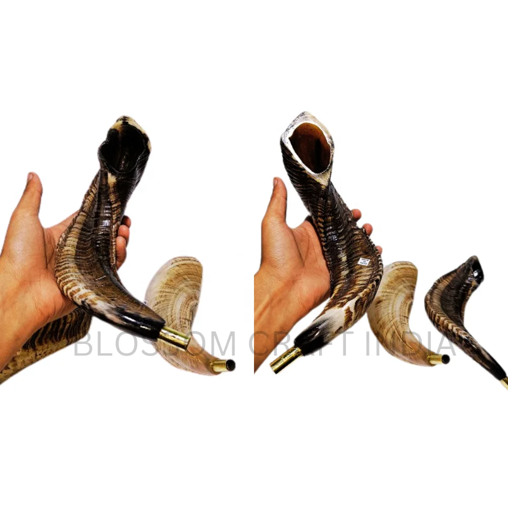 Authentic Horn Shofar / Kudu / Ram Horn / Polished Shofar Agate with Brass Whistle Easy to Blow at Religious Festival or Event
