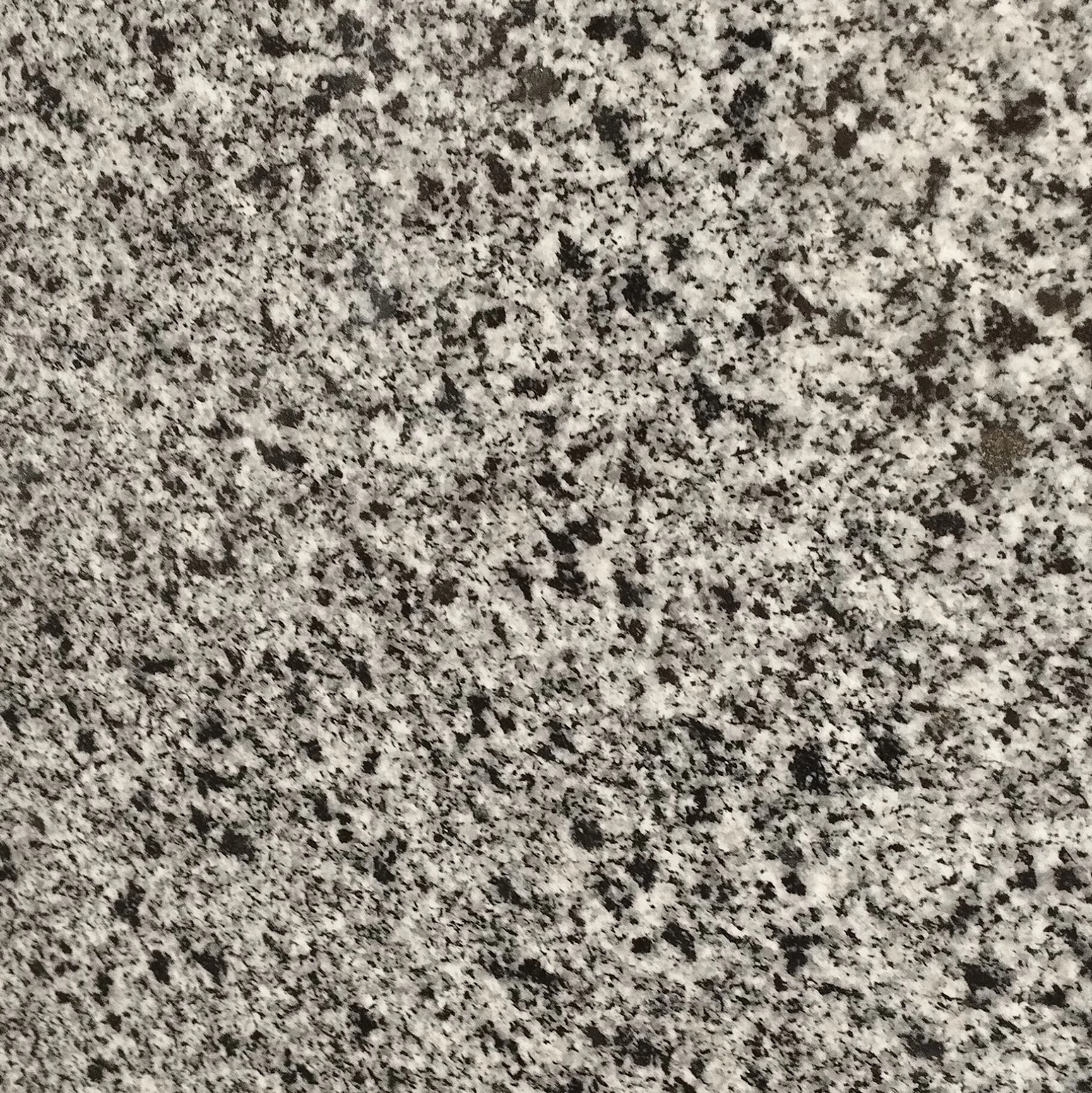 8820 Grey Egyptian Granite (New Halayeb) Tiles Slabs Floor From Origin Interior Exterior Decoration Custom Size