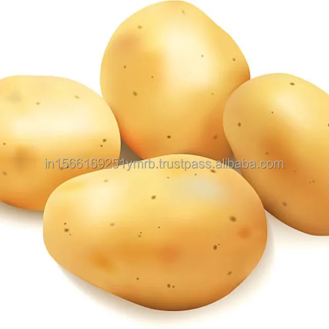 Best Fresh potato price per ton For Wholesale Buy High quality 100% Organic