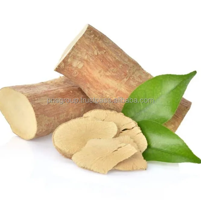 Eurycoma longgifolia оригинал из Индонезии который имеет много преимуществ таких как снижение стресса и естественная медицина
