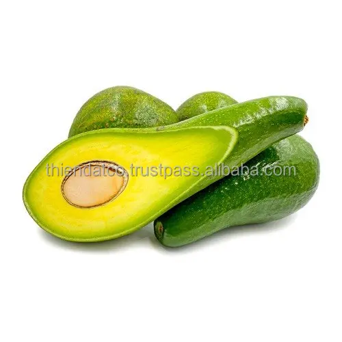 FRESH LONG NECK AVOCADO 034 VIETNAM NEWEST CROP 2021