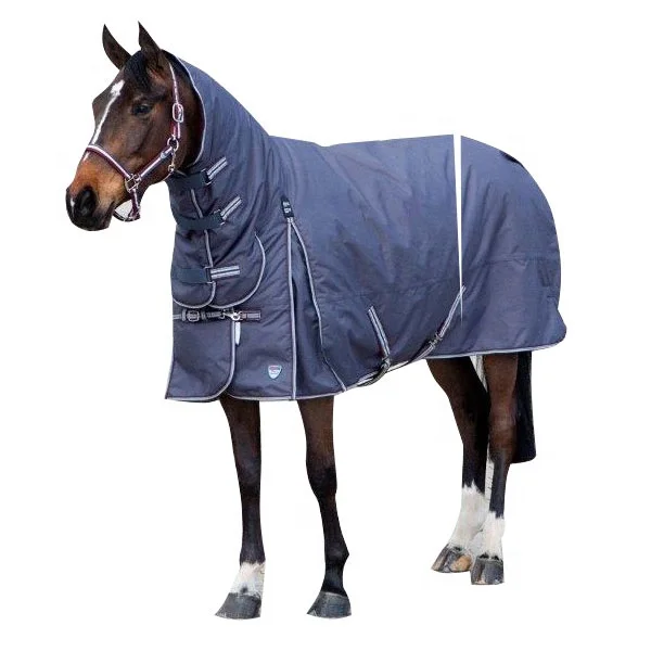 Horse Light weight Summer Protection Cover Fixed Neck Sheet Combo Fly Rug.