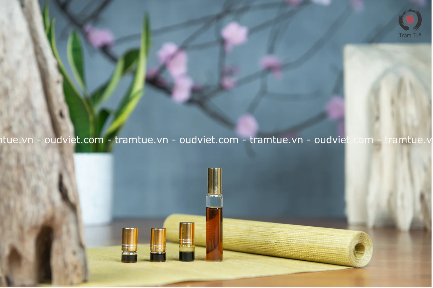 Vietnam Agarwood Oud Essential Oil low price high quality extracted from organic Oudh raw material