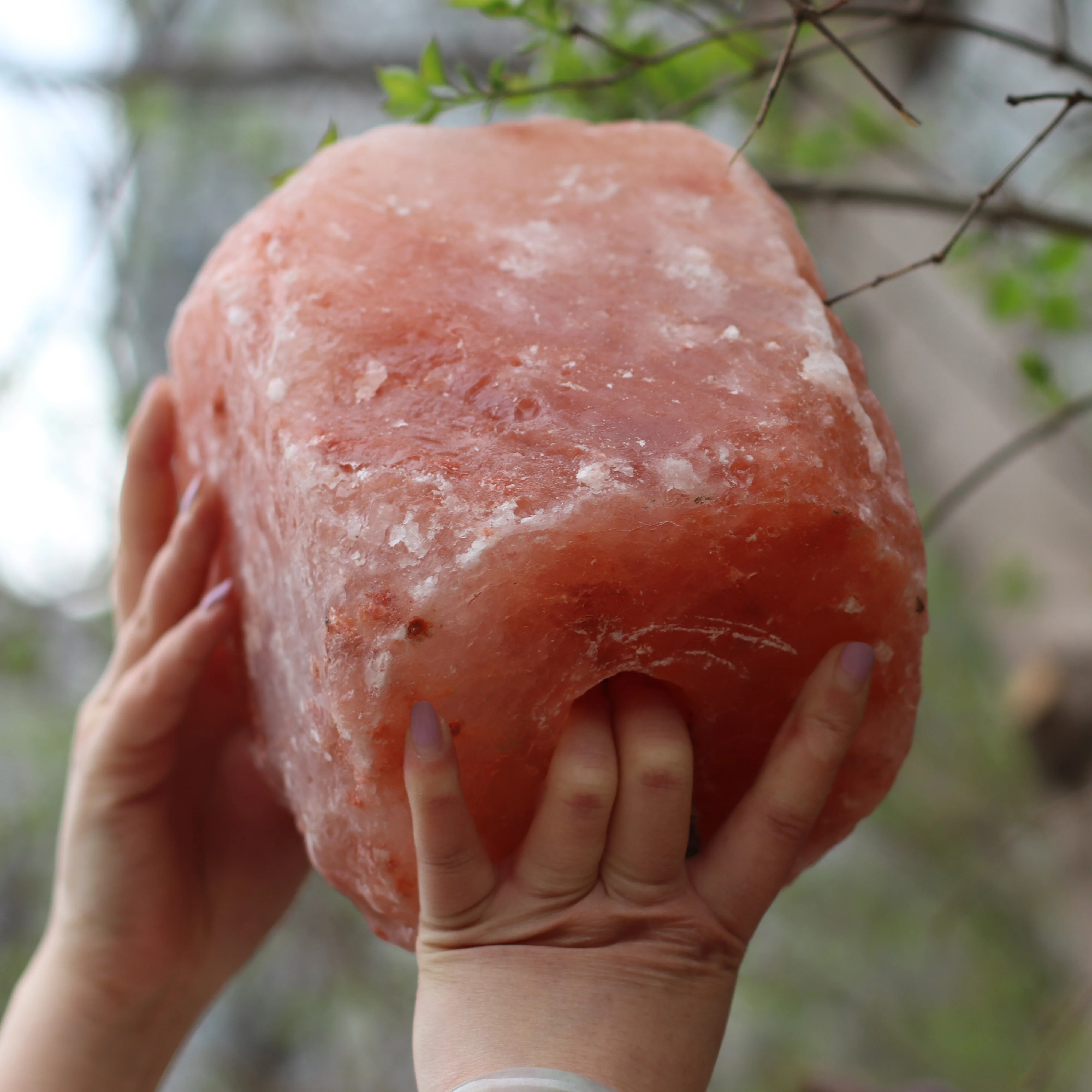 Himalayan Salt Licks For Horses 1.5kg Cattle Sheep Goat Camels Zoo & Wild Animals Wholesale Pink Salt Licks Supplier in Pakistan