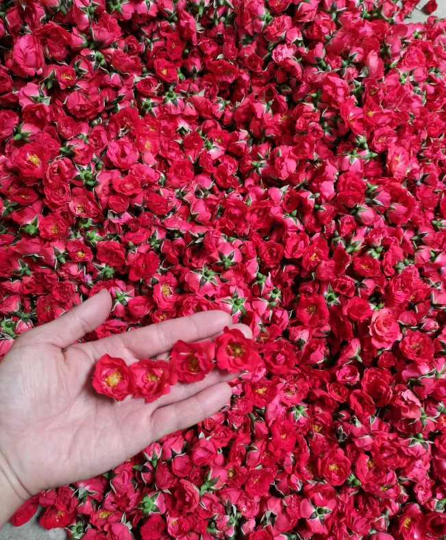 Da Lat rose buds deodorize and disinfect naturally produced at Van An factory in Vietnam