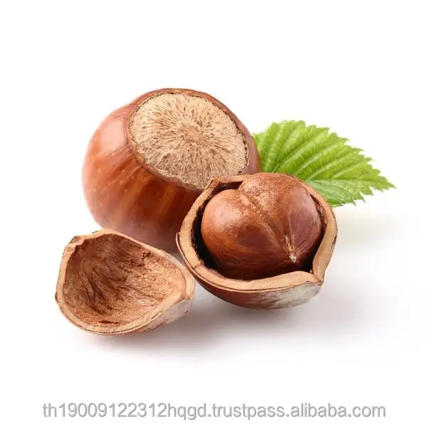 Hazelnut_600x.jpg