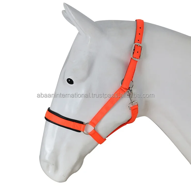 Top Selling High Quality Horse Nylon Halter Plain Head Collar Racing Manufacturer in India