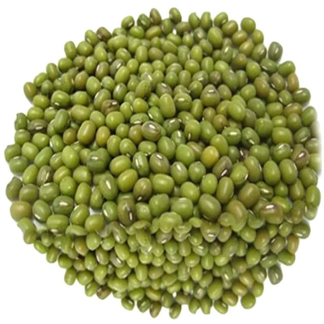 Natural Green Mung Beans  At Wholesale Prices