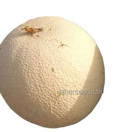 
2021 NEW HYBRID MUSK MELON ROCK MELON SEEDS HIGH QUALITY 