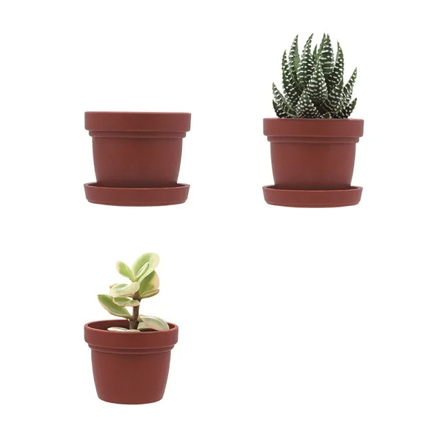 Min planter pots for live succulents