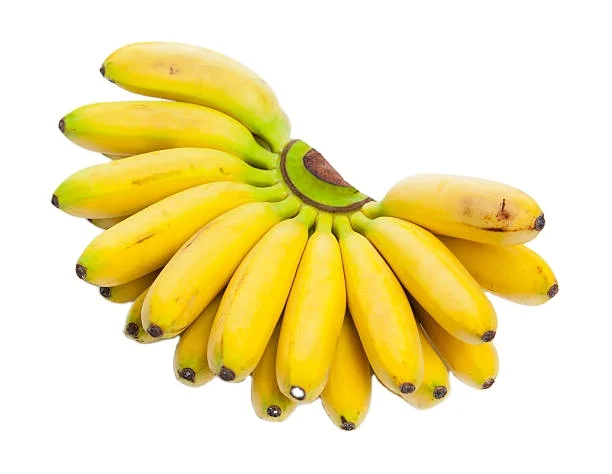 Fresh Premium Yellow  Sweet Banana High Quality Best Price in Indian Supplier