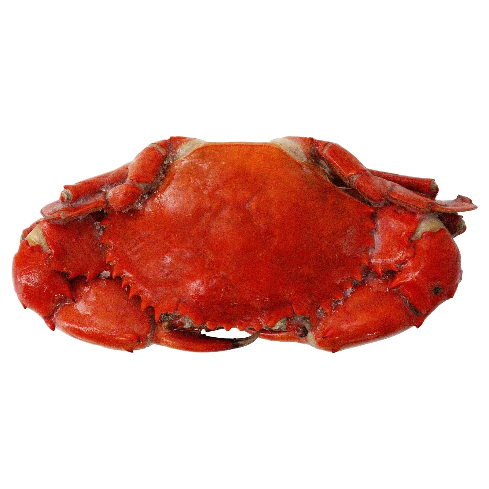 Frozen Snow Crab Legs / Live Green Mud Crab/Frozen Blue Crab