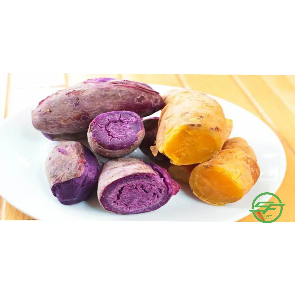 Sweet potato flour purple for export