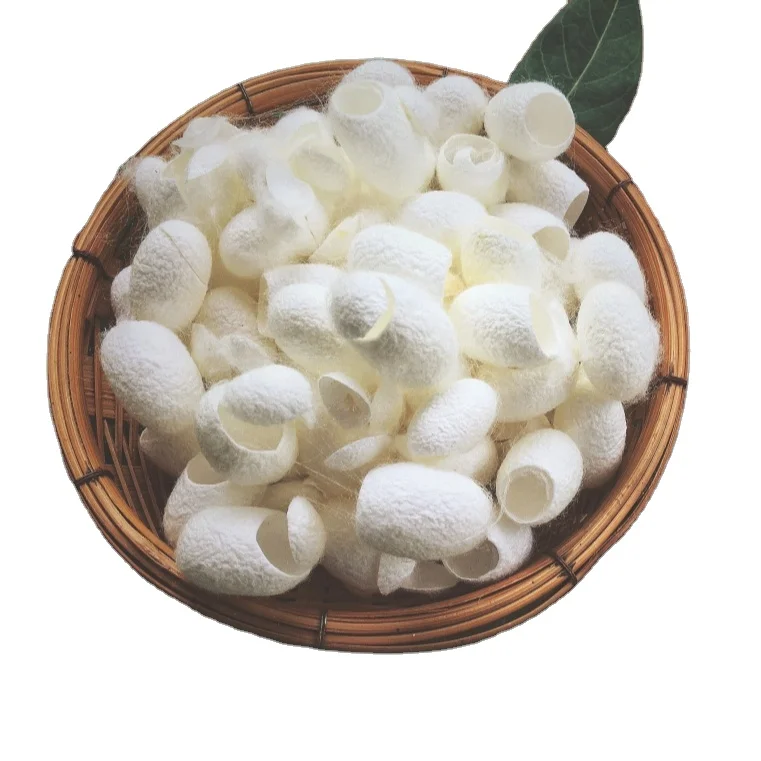 CUT WHITE SILKWORM COCOON FOR FACE CLEANING CHEAP PRICE/NATURAL SILKWORM COCOON FOR YARN FROM VIETNAM