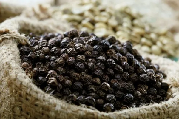 [SALE OFF 2022] Black Pepper 550 G/L, Machine Cleaned - High Quality Wholesale Cheap Price From Vietnam