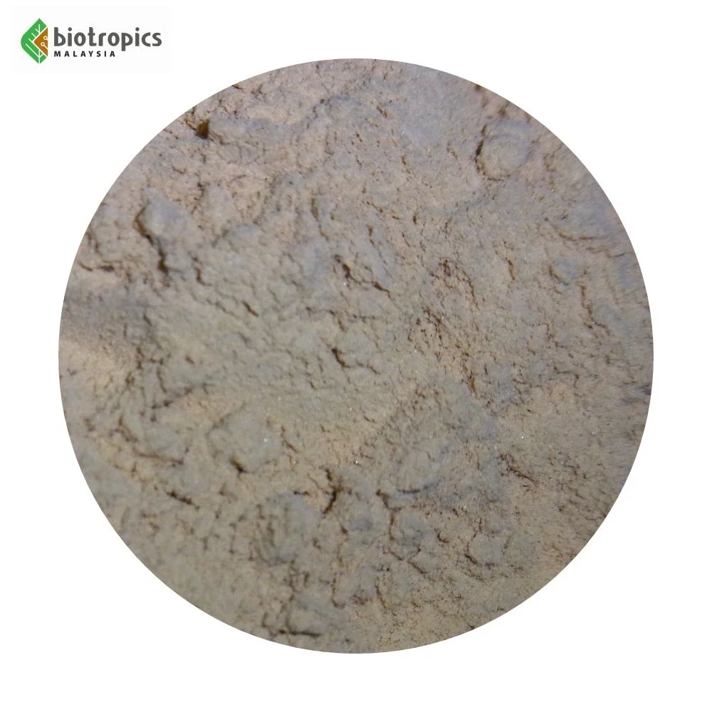 New Botanical Ingredient Phyllanthus amarus (Stonebreaker) Ready for Use in Supplements for Liver Health