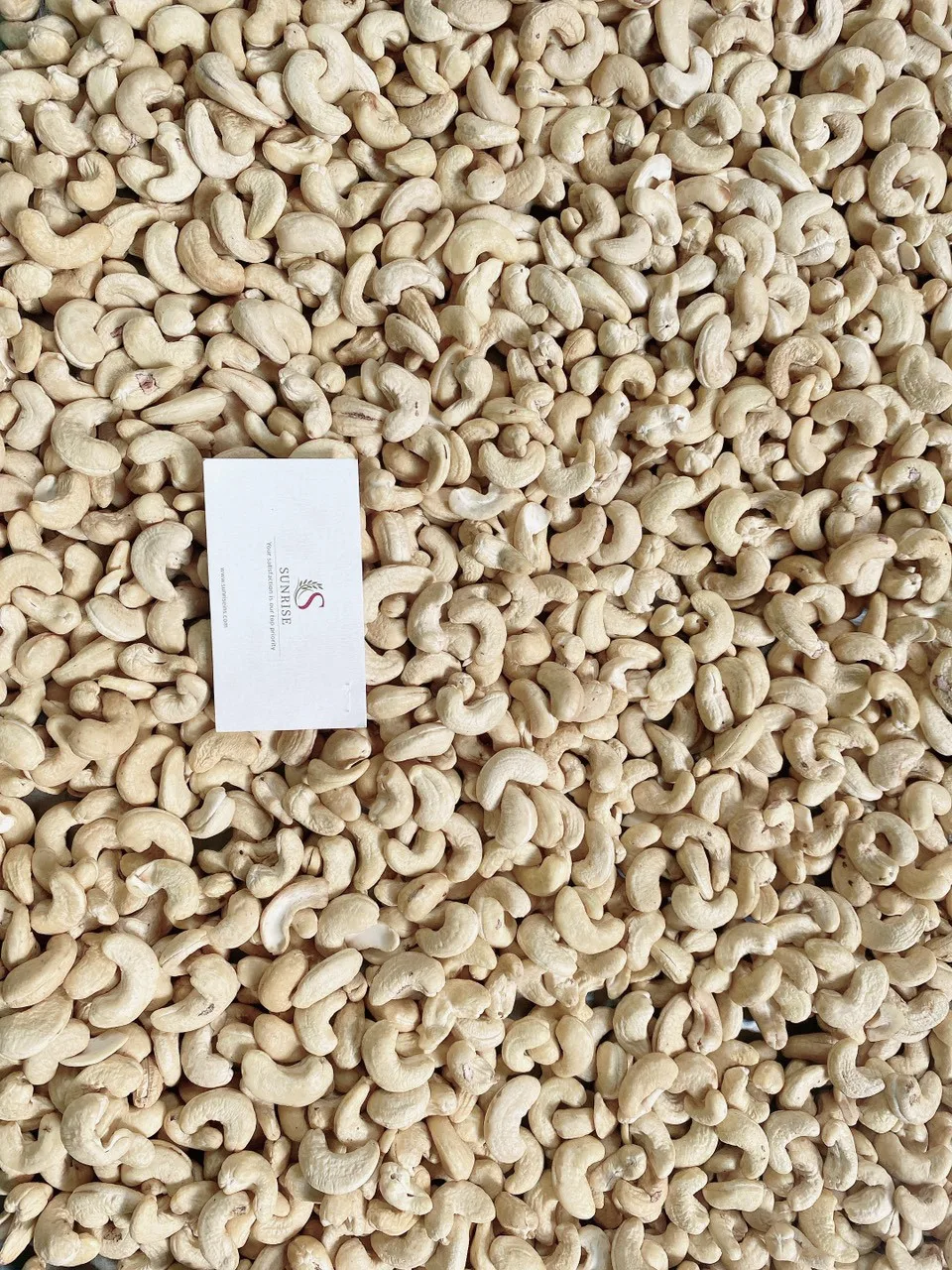 Vietnam processed cashew dried nuts W320 Price Wholesale Packing in Vacuum Bag cashew bag 10 kg