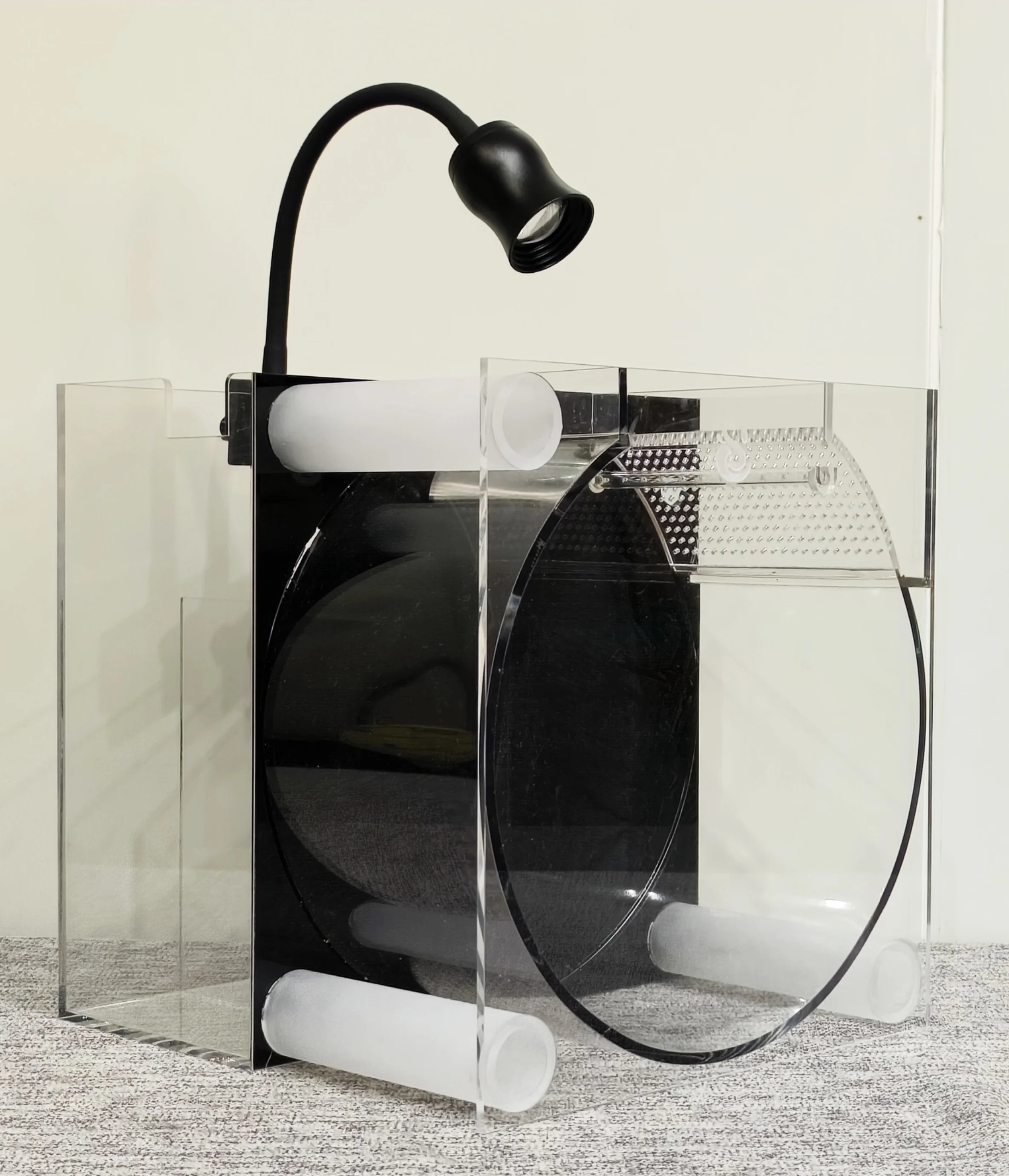 Protein Skimmers Can Enhance Water Quality in Saltwater Aquariums