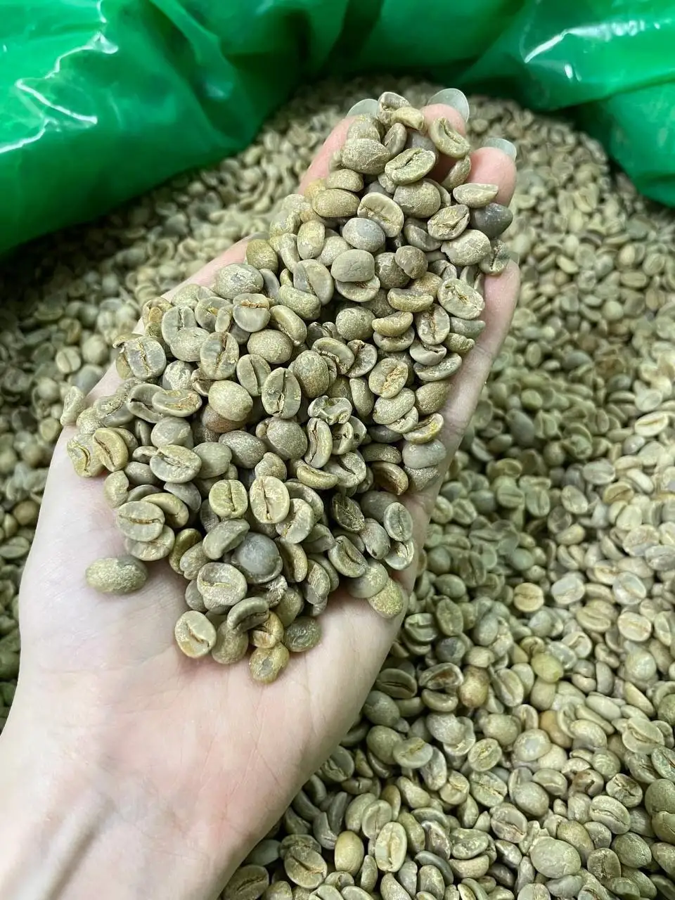 Лидер продаж вьетнамские зеленые кофейные зерна Robusta Arabica цельные бобы полезный жареный кофе конкурентоспособная цена готовый импорт