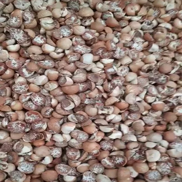  Хорошее качество оптовая продажа орехи Betel 80/85 из Индонезии со стандартом