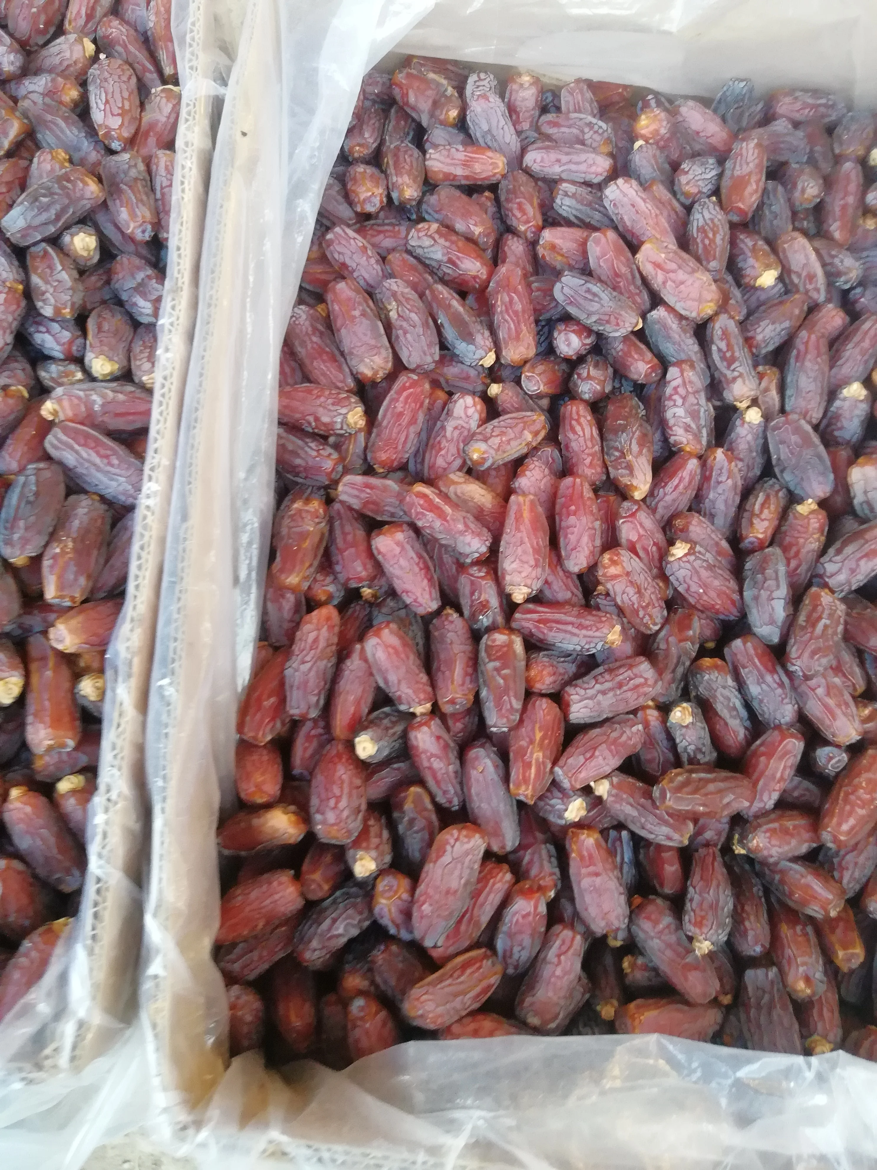 Mabroom dates for high and quick sales Ye Zao Yezao Dates for China Market from Saudi Arabia top grades competitive prices