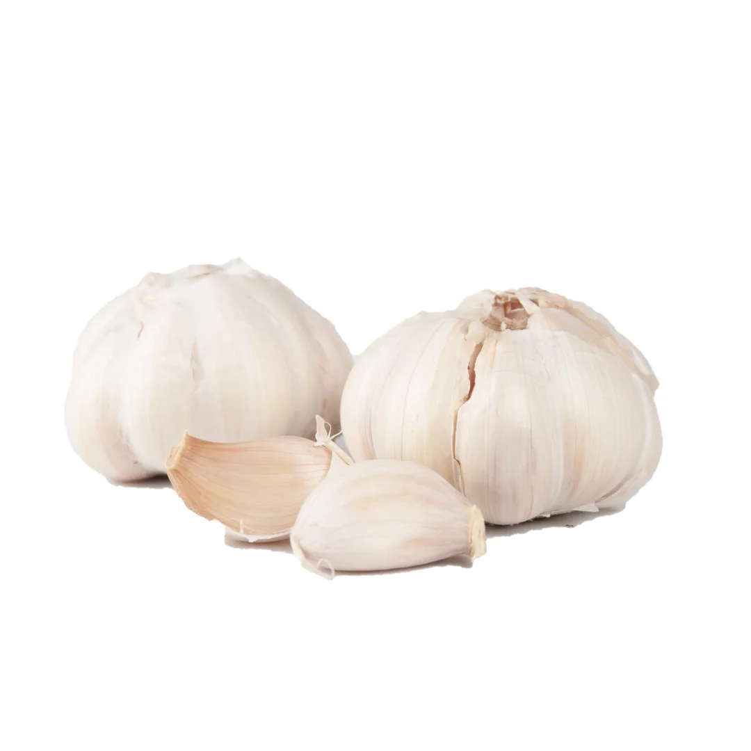 Wholesales New Arrival  Ready To Ship High Quality Fresh Product From Viet Nam Fresh Garlic For Cooking, Restaurant