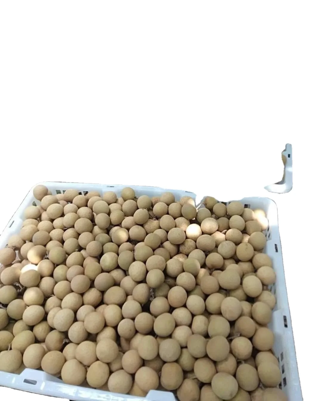 Longanic   Fruit Sweet  From Thailand