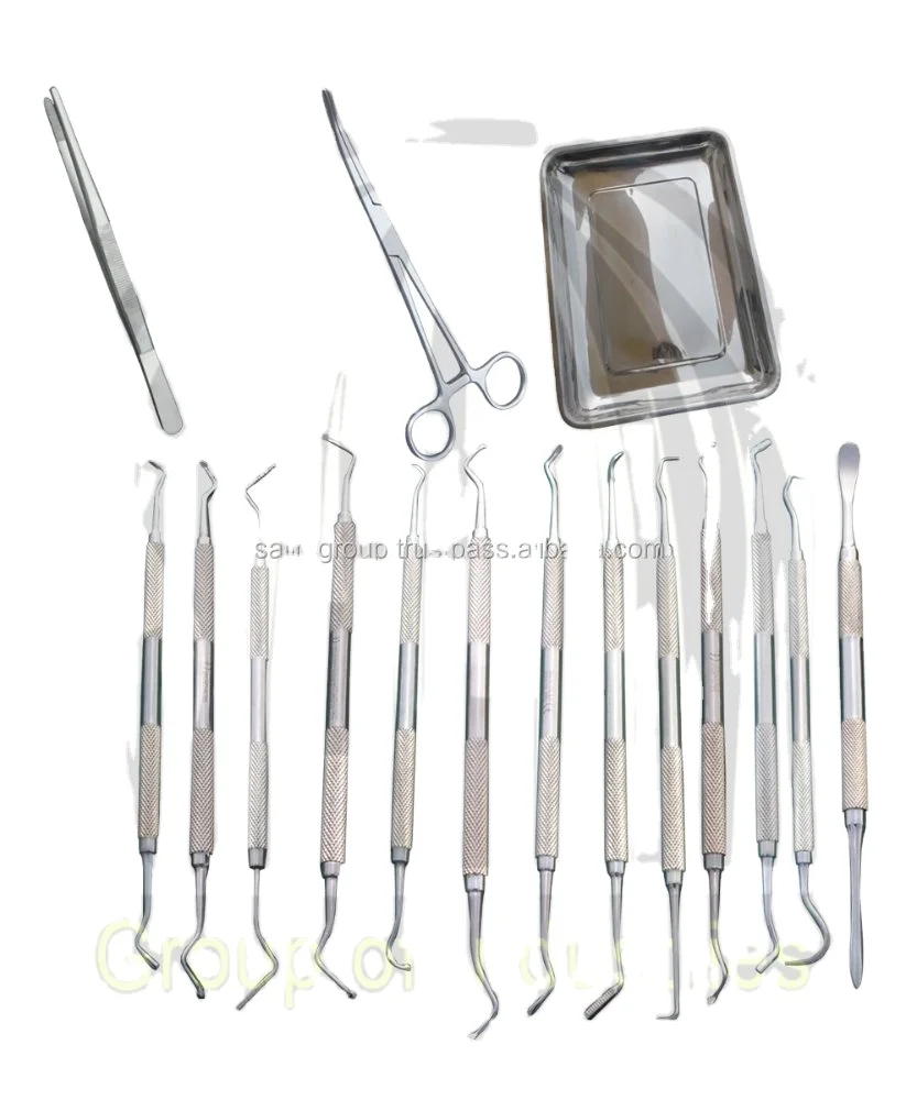 Kidney Tray, Pean Forceps, Tweezer, Surgical Forceps