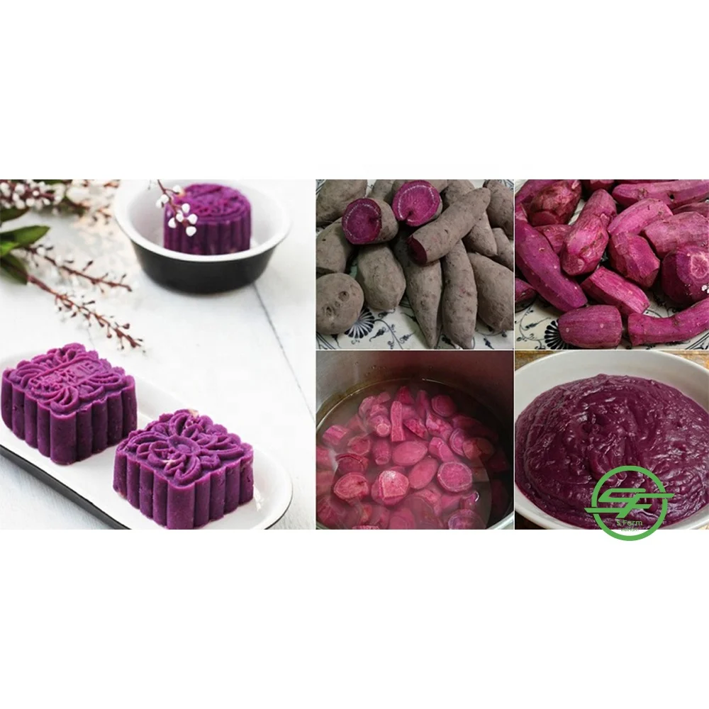 Свежий органический Сладкий фиолетовый картофель по хорошей цене (Whatsapp/zalo/wechat: + 84 912 964 858)