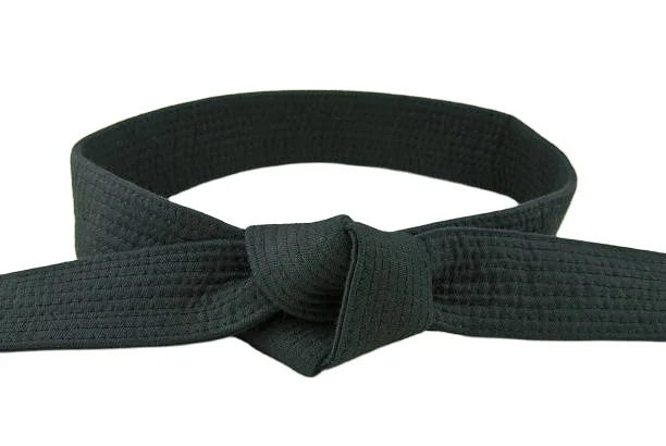 Karate Kickboxing Judo Black Belt Silk Satin MASTER-GRADE